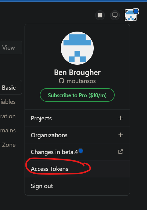 clicking the access tokens button in the profile menu